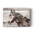 Epic Art 'Jalisco Horse' by Irena Orlov, Acrylic Glass Wall Art