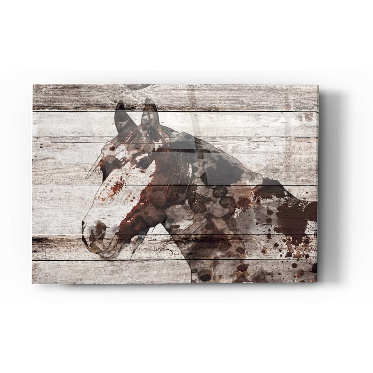 Epic Art 'Jalisco Horse' by Irena Orlov, Acrylic Glass Wall Art
