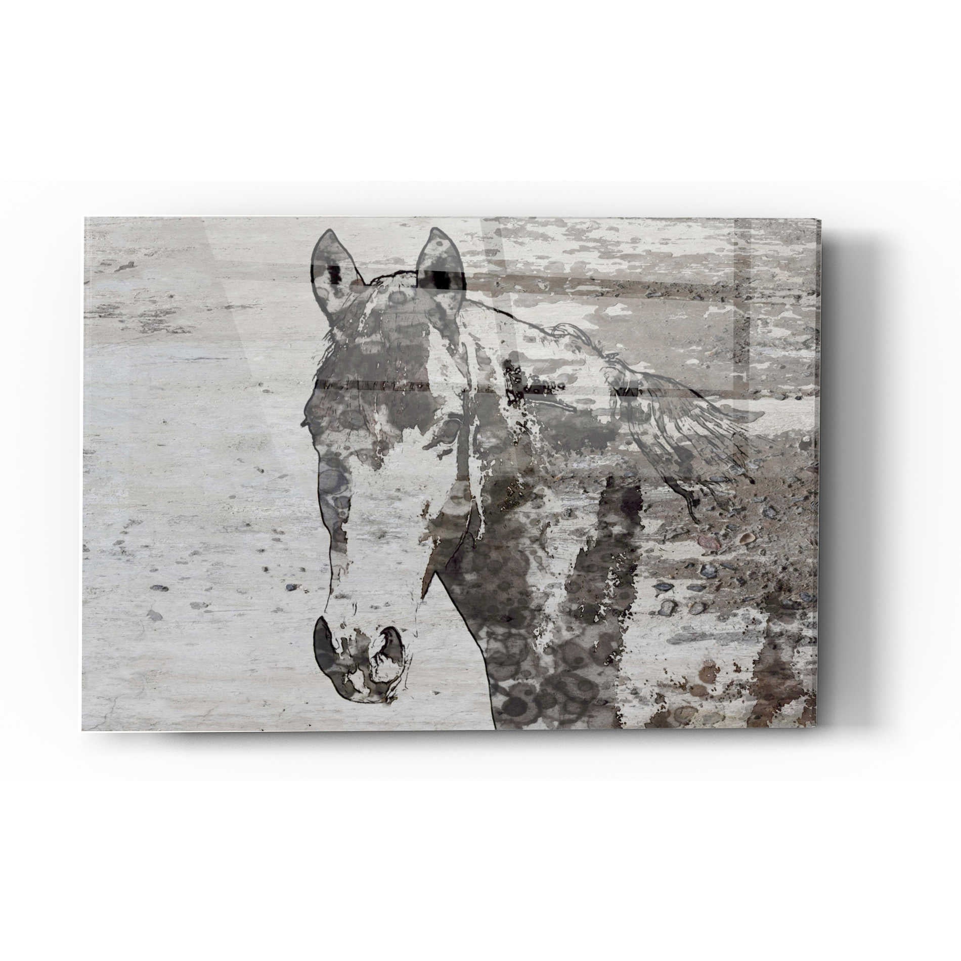 Epic Art 'Portrait of a Horse' by Irena Orlov, Acrylic Glass Wall Art