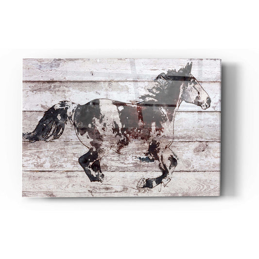 Epic Art 'Running Arabian Horse' by Irena Orlov, Acrylic Glass Wall Art