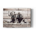 Epic Art 'Black Bear 1' by Irena Orlov, Acrylic Glass Wall Art