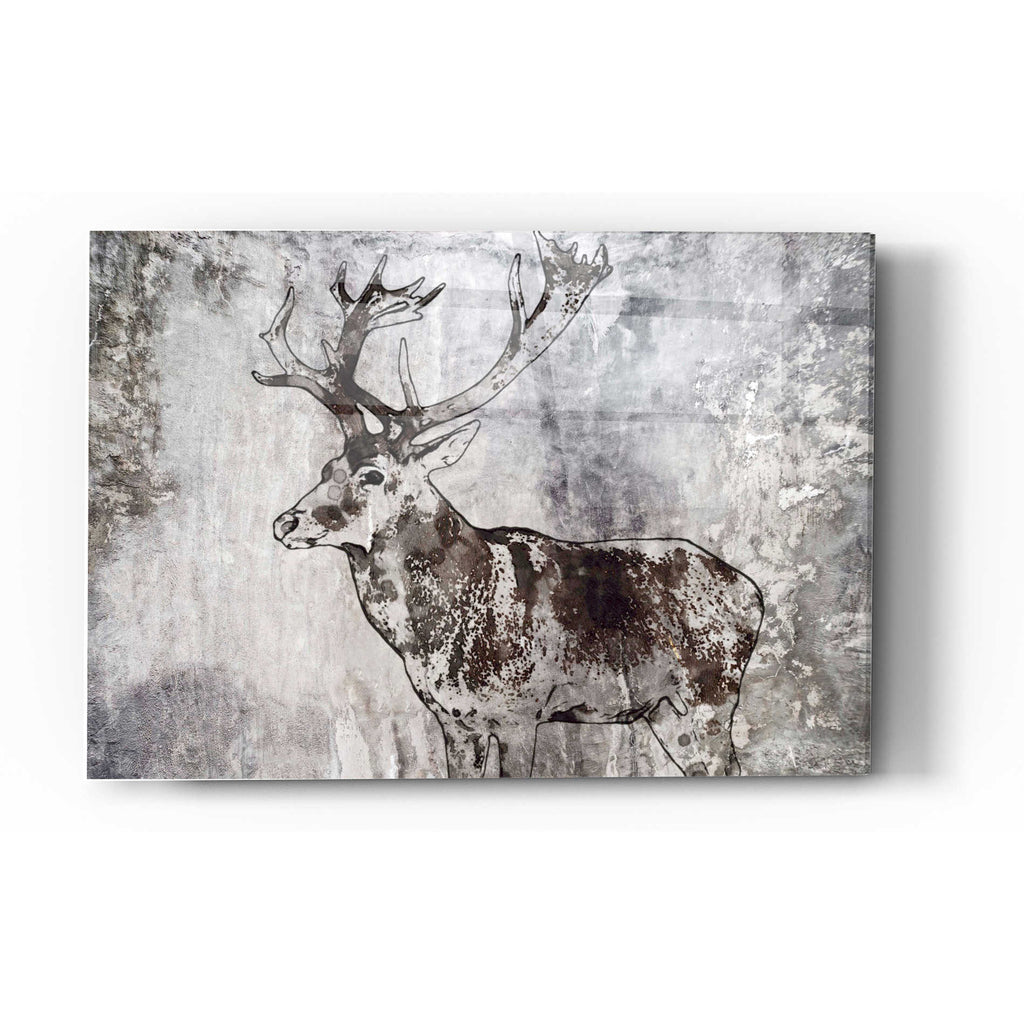 Epic Art 'Javan Rusa' by Irena Orlov, Acrylic Glass Wall Art