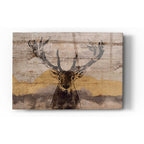 Epic Art 'White-Tailed Deer' by Irena Orlov, Acrylic Glass Wall Art