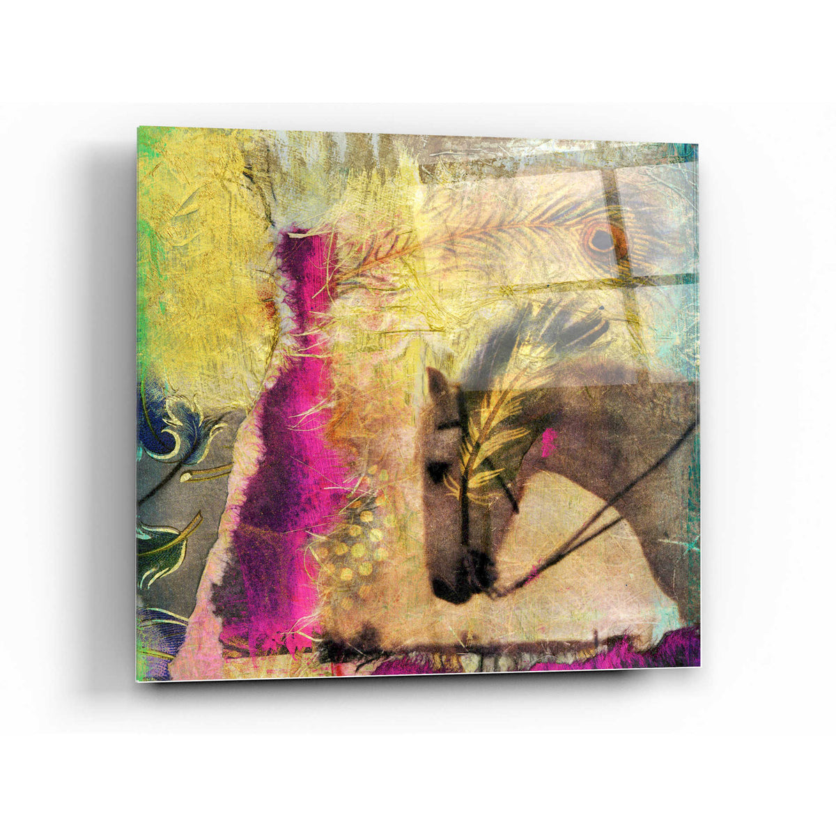 Epic Art 'White Horse' by Elena Ray Acrylic Glass Wall Art