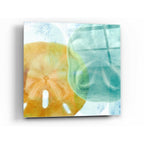 Epic Art 'Luminous Seashells' by Elena Ray Acrylic Glass Wall Art