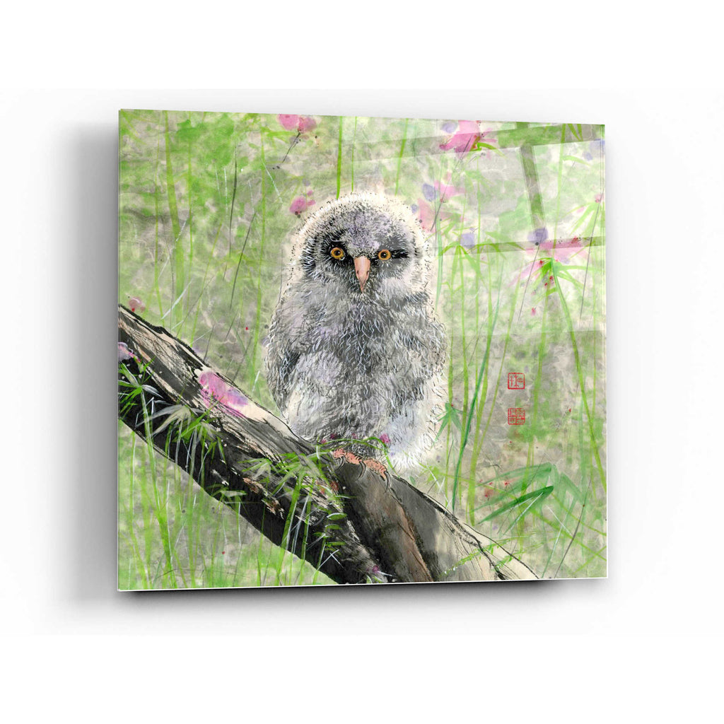 Epic Art 'Owlet' by River Han, Acrylic Glass Wall Art