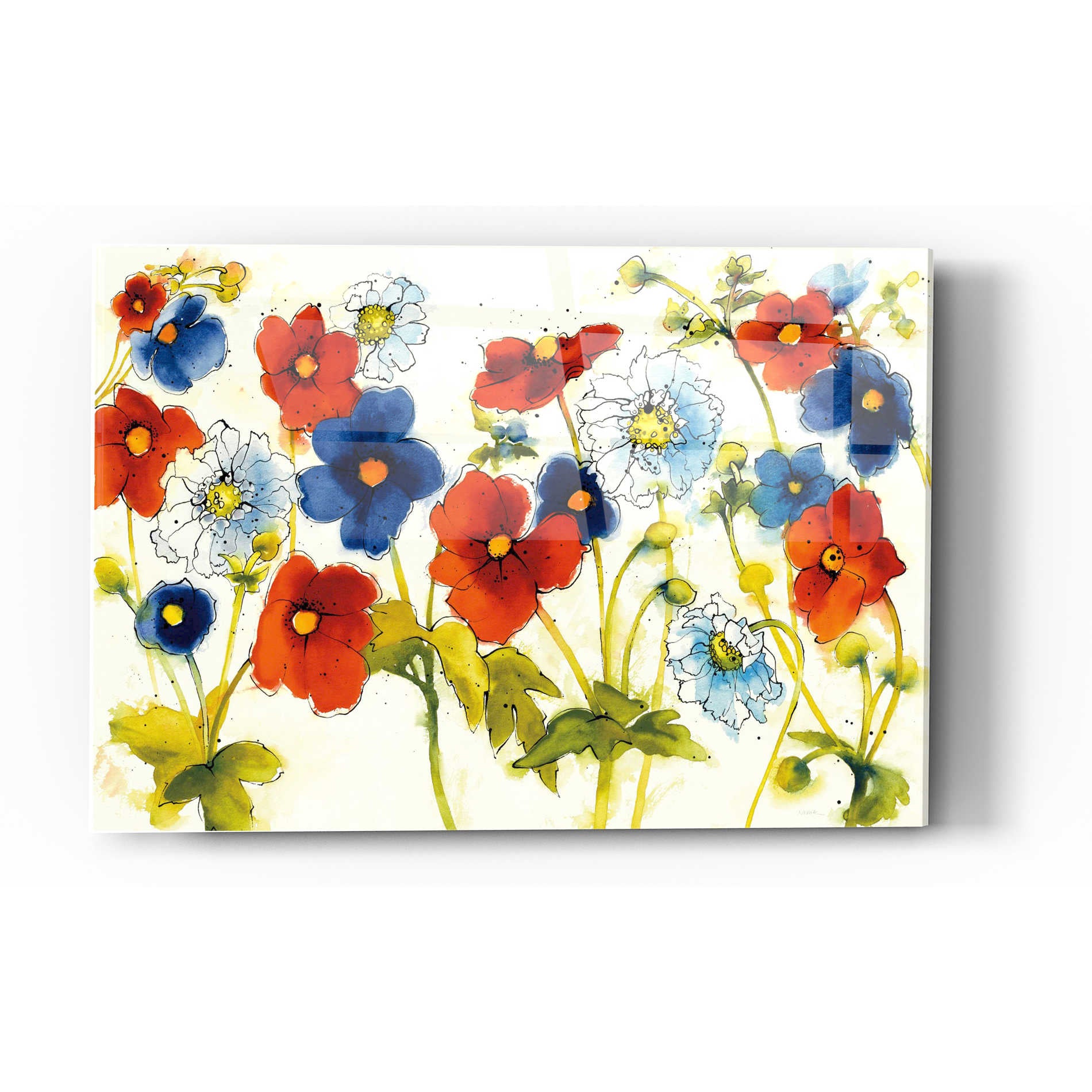 Epic Art 'Independent Blooms I' by Shirley Novak, Acrylic Glass Wall Art