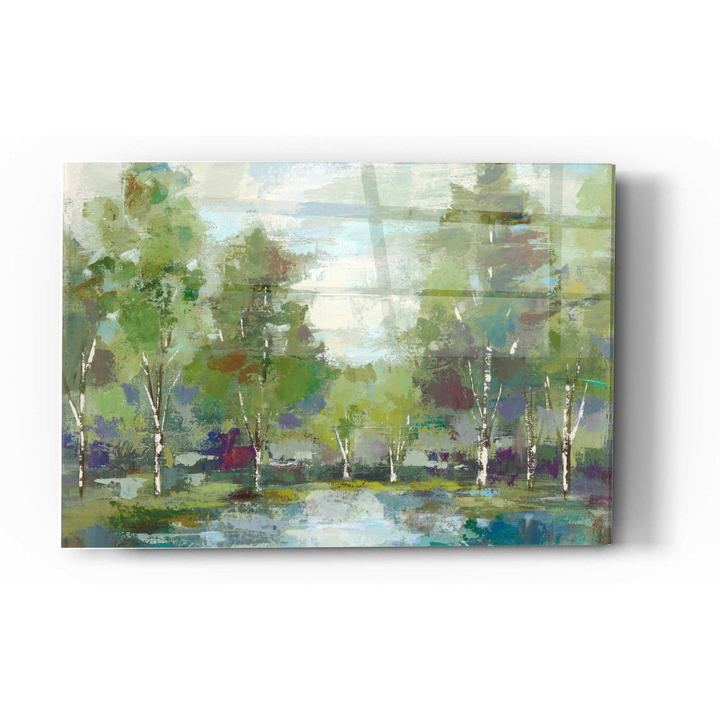 Epic Art 'Forest At Dawn' by Silvia Vassileva, Acrylic Glass Wall Art