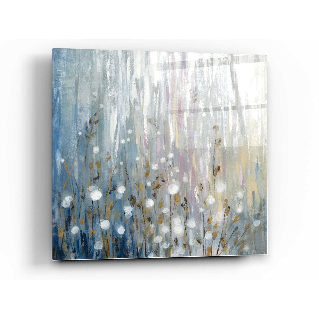 Epic Art 'January Branches' by Silvia Vassileva, Acrylic Glass Wall Art