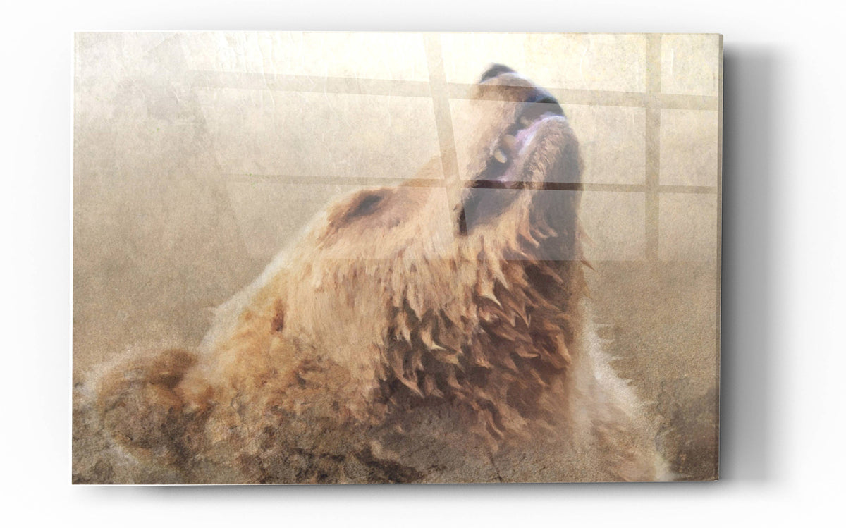 Epic Art 'Big Bear 1' by Karen Smith, Acrylic Glass Wall Art
