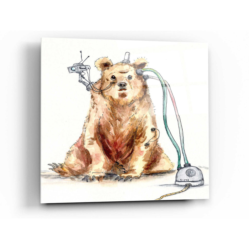 Epic Art 'Ruxpin' by Craig Snodgrass, Acrylic Glass Wall Art