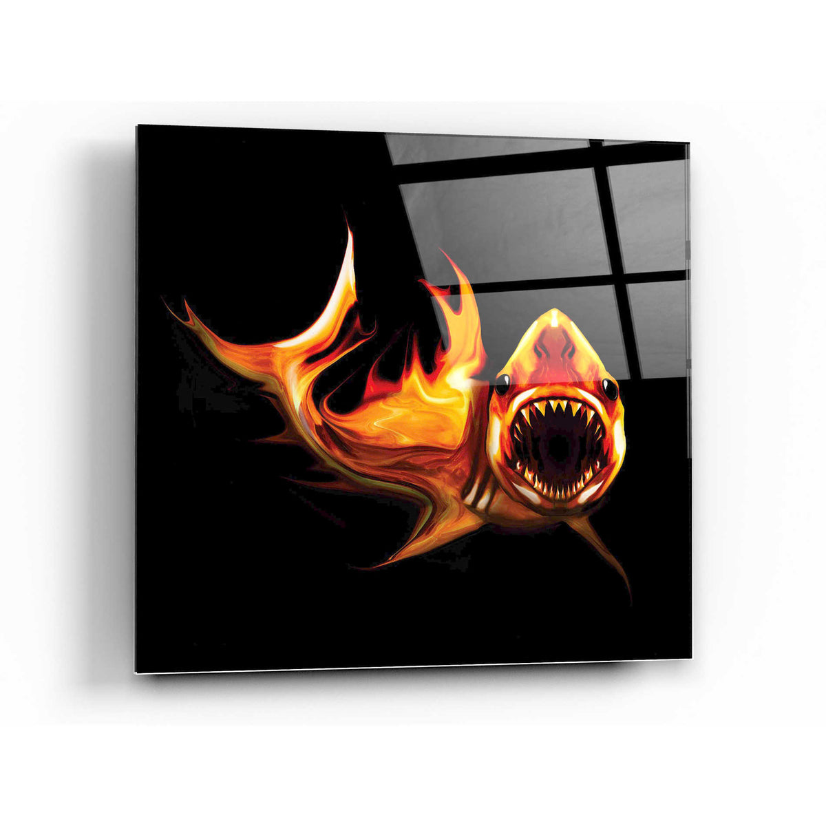 Epic Art 'White Shark' by Michael Stewart, Acrylic Glass Wall Art