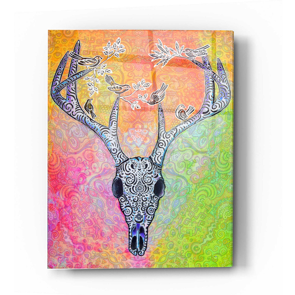 Epic Art 'Skull and Bird' by Surma and Guillen, Acrylic Glass Wall Art