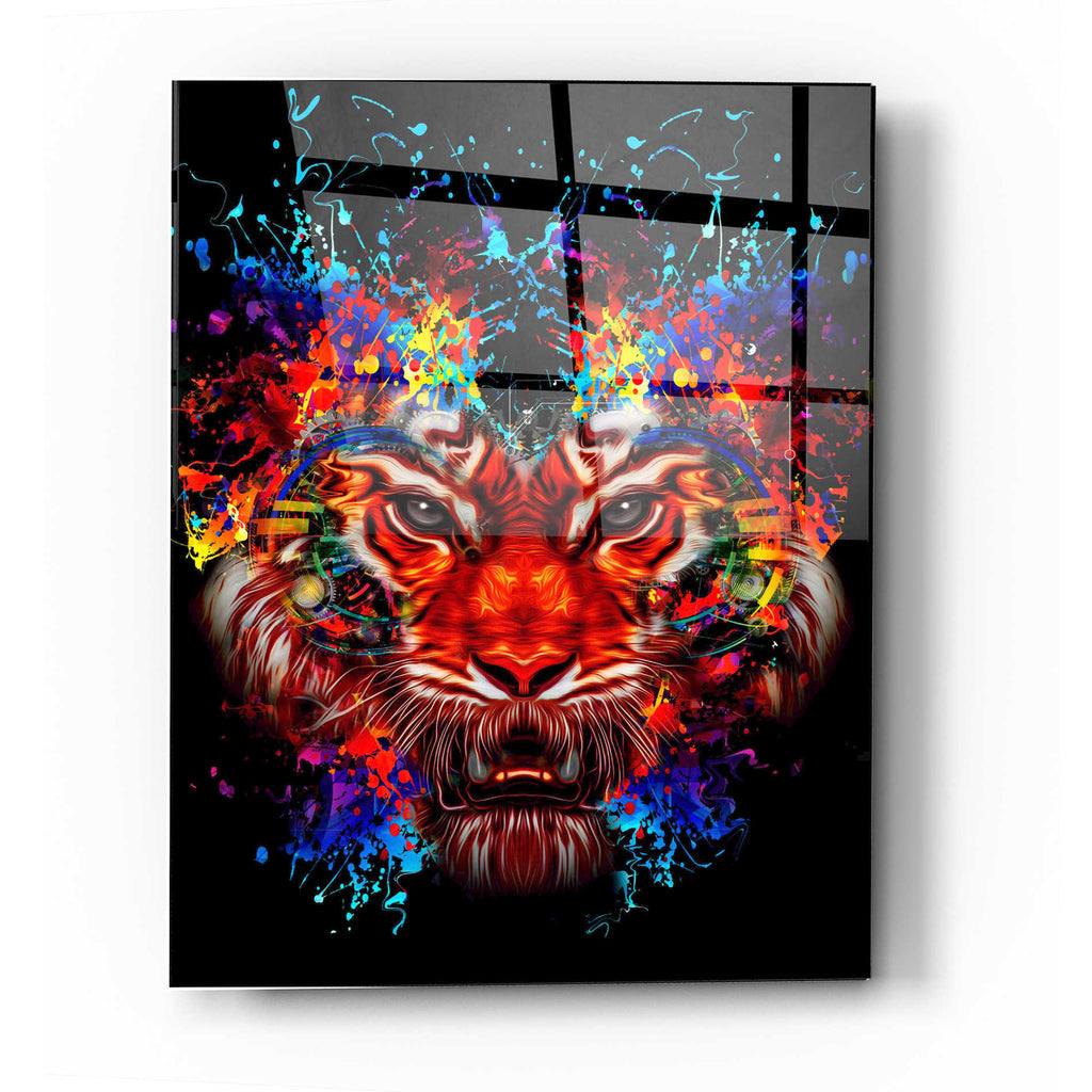 Epic Art 'Dubtiger' Acrylic Glass Wall Art