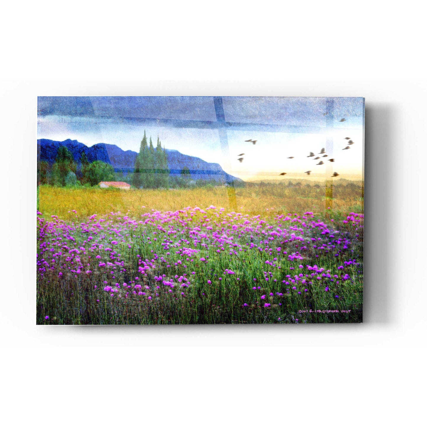 Epic Art 'Mesa Verde and Knapweed' by Chris Vest, Acrylic Glass Wall Art