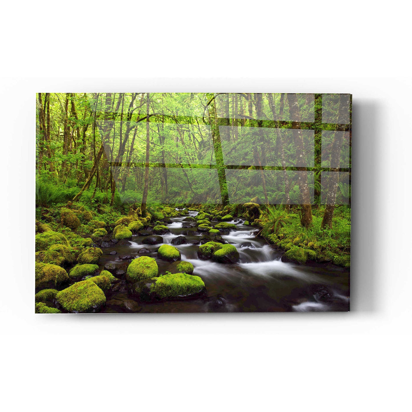 Epic Art "Where the Green Grows" by Darren White, Acrylic Glass Wall Art