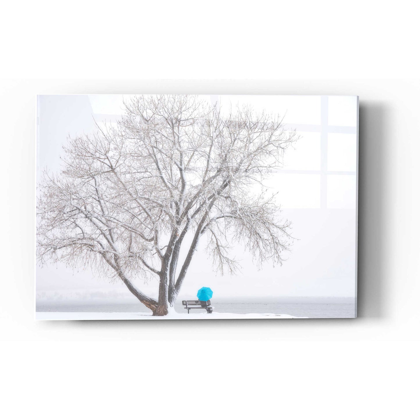 Epic Art "Another Winter Alone" by Darren White, Acrylic Glass Wall Art