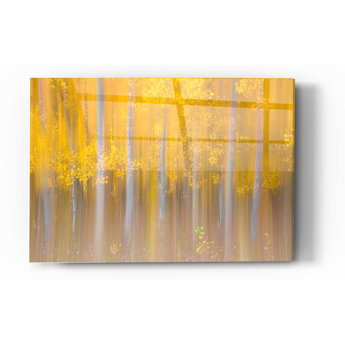 Epic Art "Changing Seasons" by Darren White, Acrylic Glass Wall Art