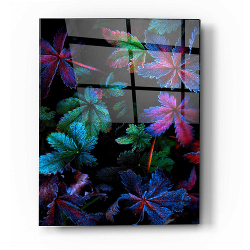 Epic Art "Frosty Fall" by Darren White, Acrylic Glass Wall Art