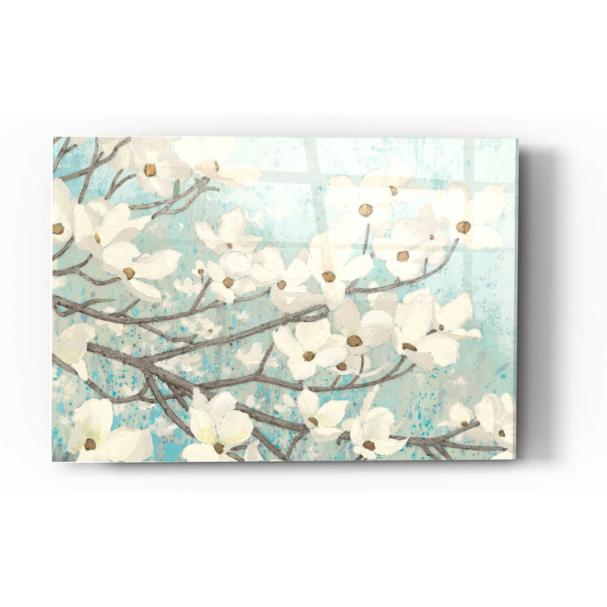 Epic Art 'Dogwood Blossoms II' by James Wiens, Acrylic Glass Wall Art