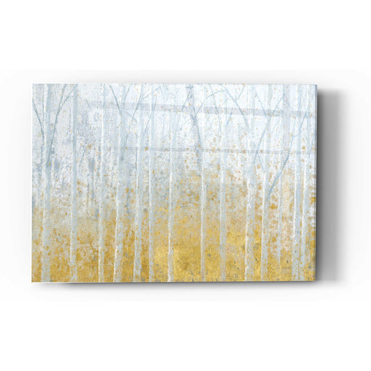 Epic Art 'Silver Water GOLD' by James Wiens, Acrylic Glass Wall Art