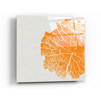 Epic Art 'Orange Slice' by Linda Woods, Acrylic Glass Wall Art