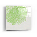 Epic Art 'Lime Slice' by Linda Woods, Acrylic Glass Wall Art