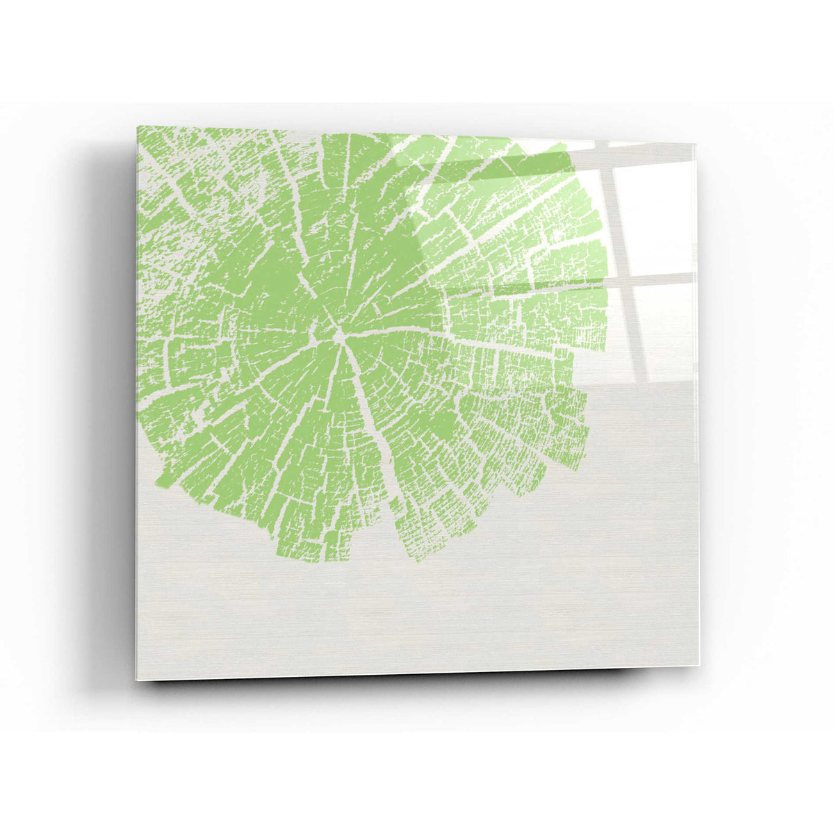 Epic Art 'Lime Slice' by Linda Woods, Acrylic Glass Wall Art